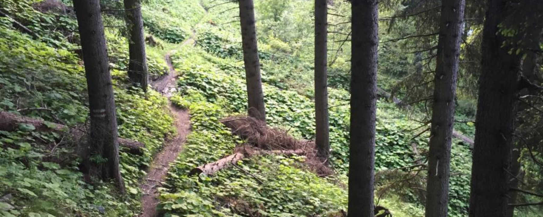 Antennatrail Brambrüesch