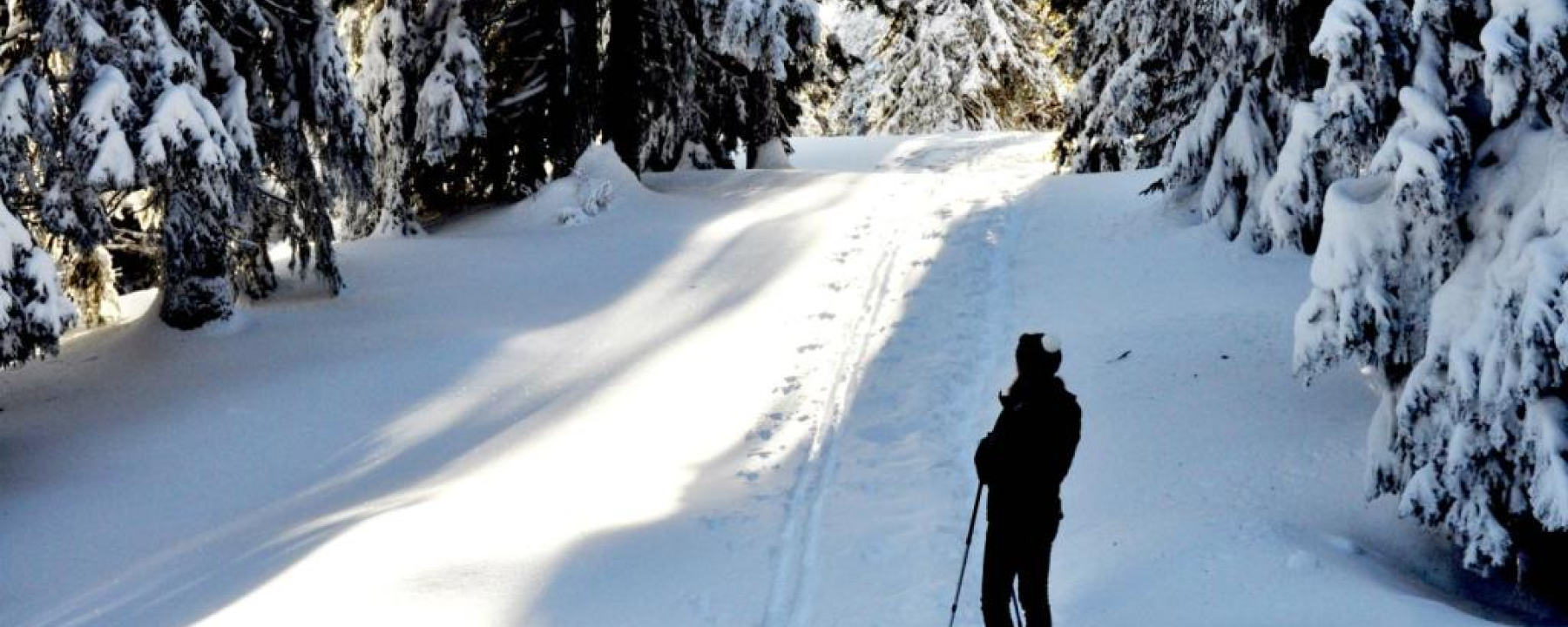 Im Spundis-Wald