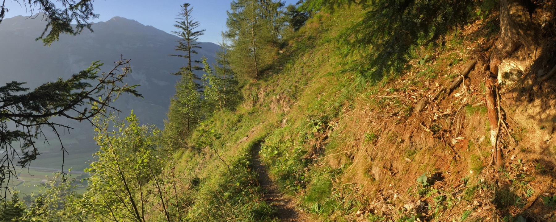 Wanderweg Sauerquelle