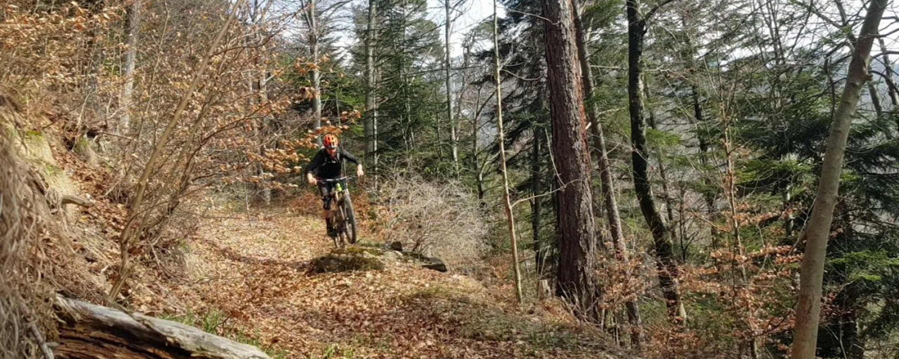 Nasstobel Trail