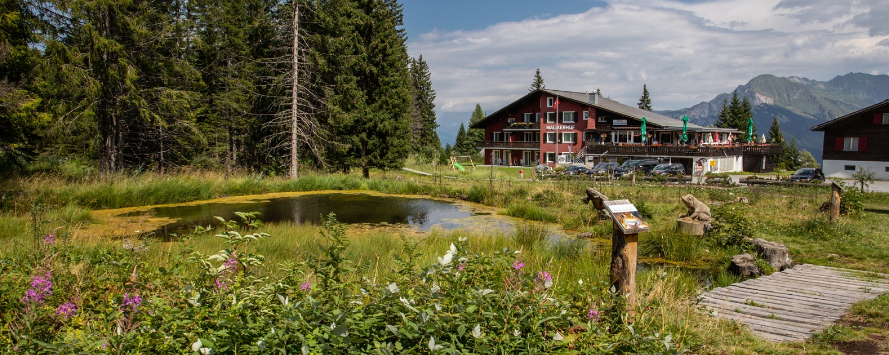 Malixerhof Brambrüesch im Sommer