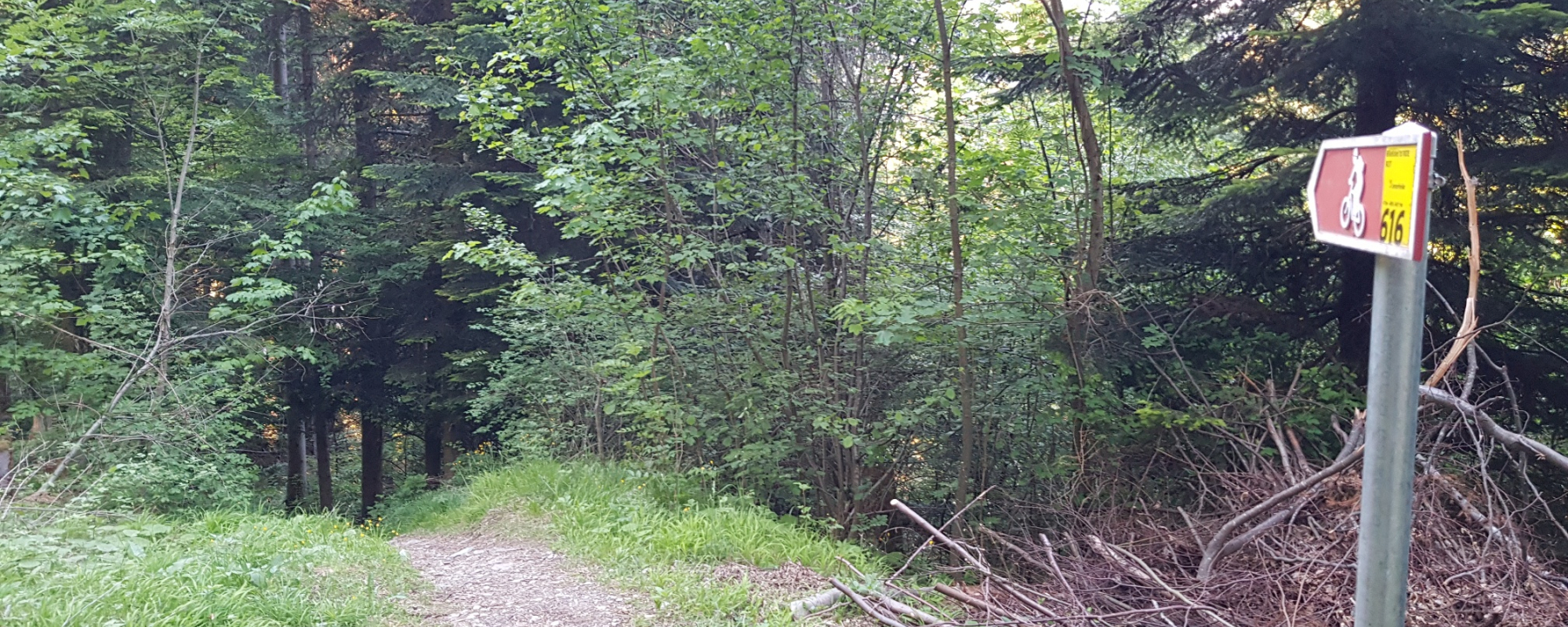 Traileinstieg unterer Abschnitt