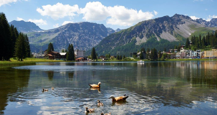 Obersee Sommer Obersee Sommer