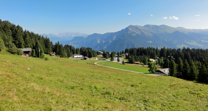 Blick zur Hochebene Brambrüesch
