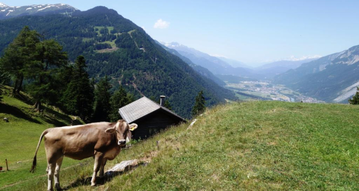 Mittenberg mit Blick ins Churer Rheintal