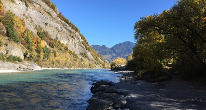 Unterhalb des Camp Au am Rhein-Ufer