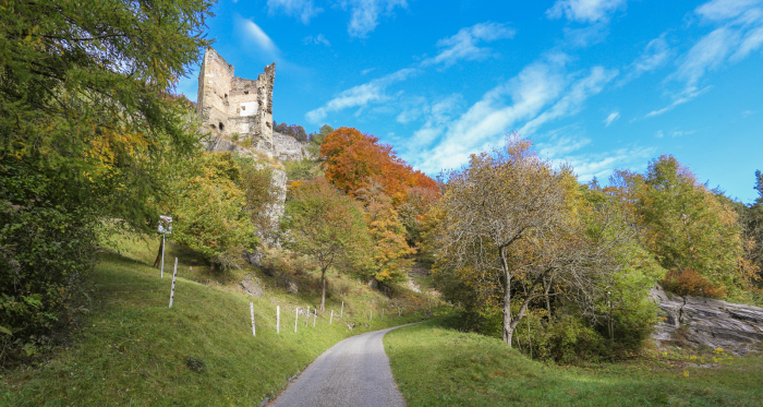 Ruine Haldenstein Ruine Haldenstein