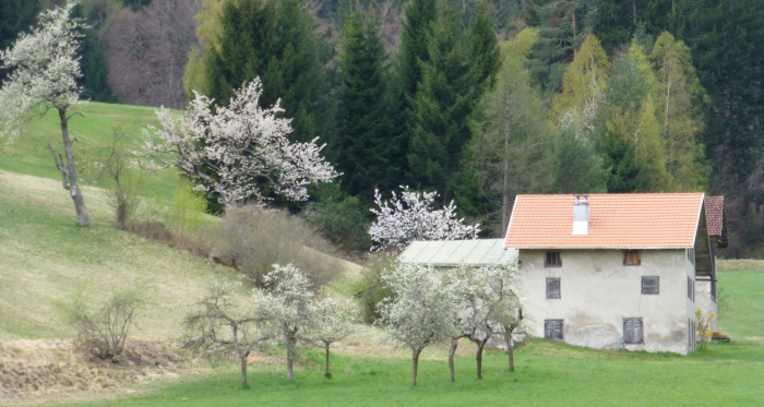 Weihermühle Weihermühle
