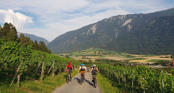 Aufstieg durch die Weinreben oberhalb Felsberg