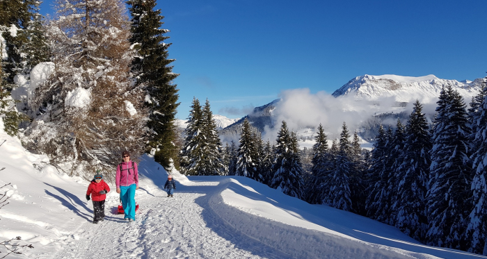 Edelweissrundweg Brambrüesch Edelweissrundweg Brambrüesch