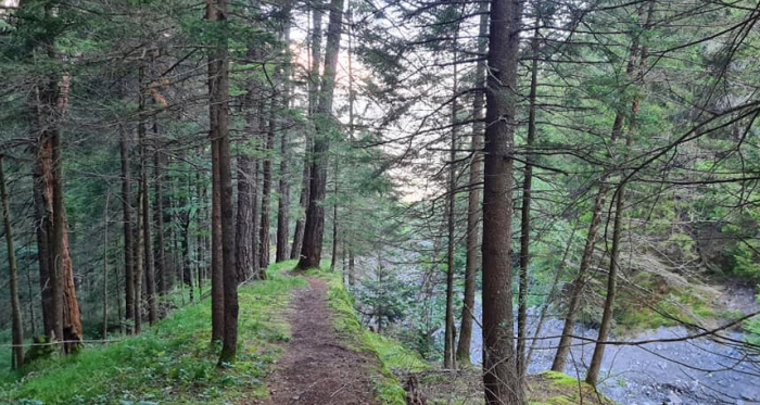 Scalära Trail