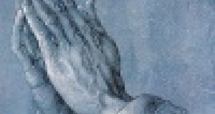 img_wt1_fbhgiifcc