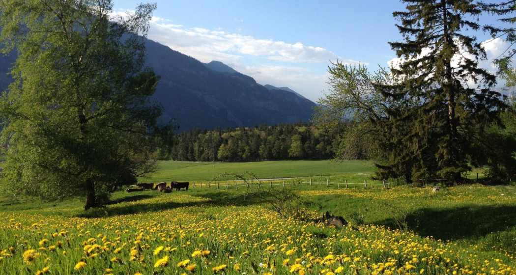 Fürstenwald oberhalb Chur Fürstenwald oberhalb Chur