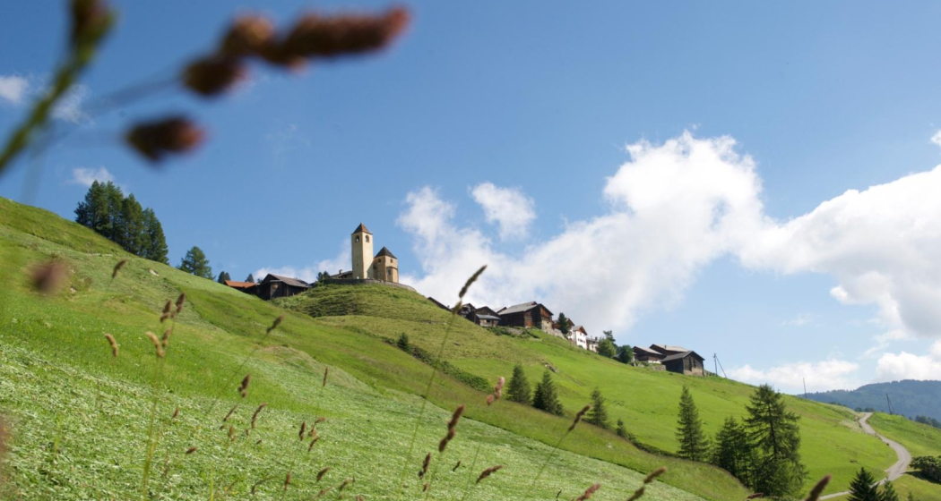 Lohn am Schamserberg Lohn am Schamserberg