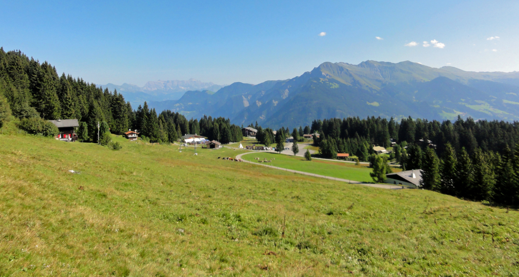 Blick zur Hochebene Brambrüesch Blick zur Hochebene Brambrüesch