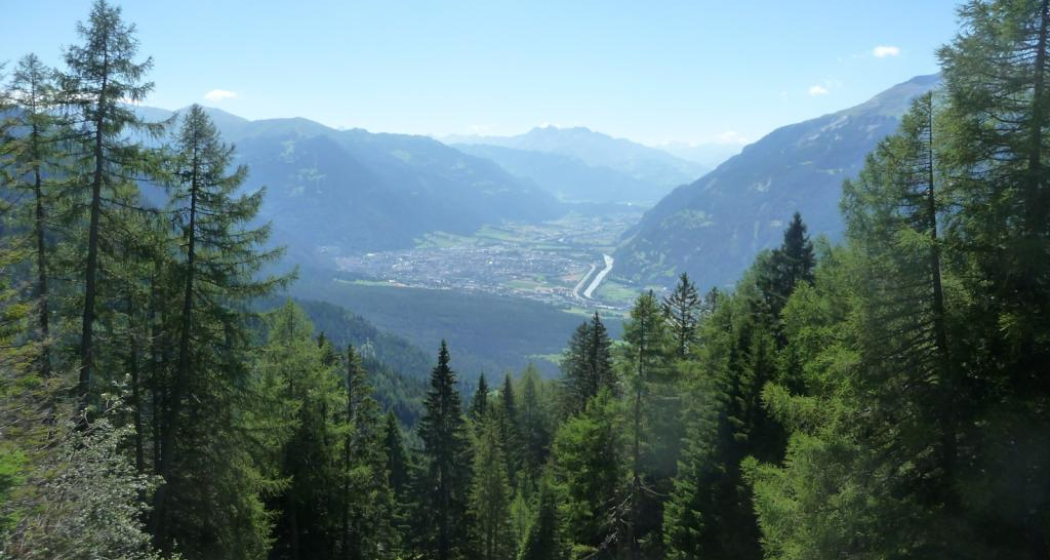 Aussicht aus dem Wald Aussicht aus dem Wald