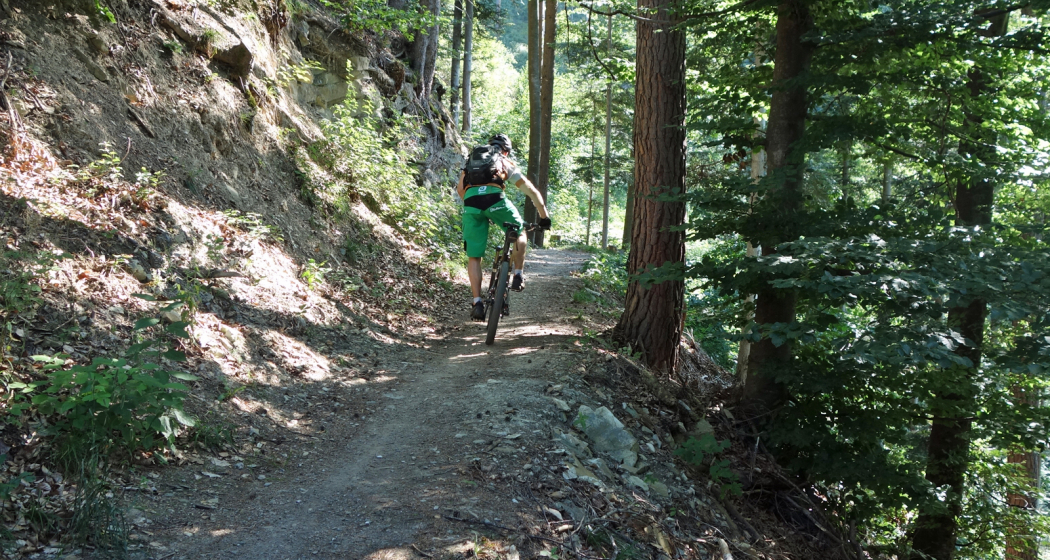 Trail-Spass in den Wäldern Trail-Spass in den Wäldern