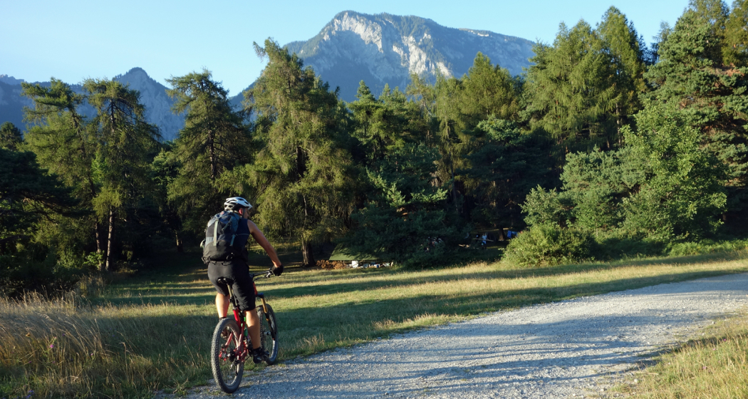 Abzweigung auf den Trail Richtung Reichenau Abzweigung auf den Trail Richtung Reichenau