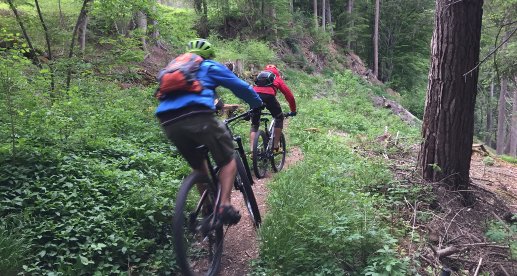 Trail zwischen Malix und Passugg Trail zwischen Malix und Passugg