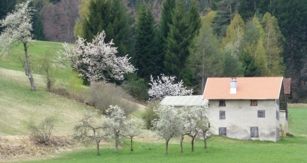 Weihermühle Weihermühle