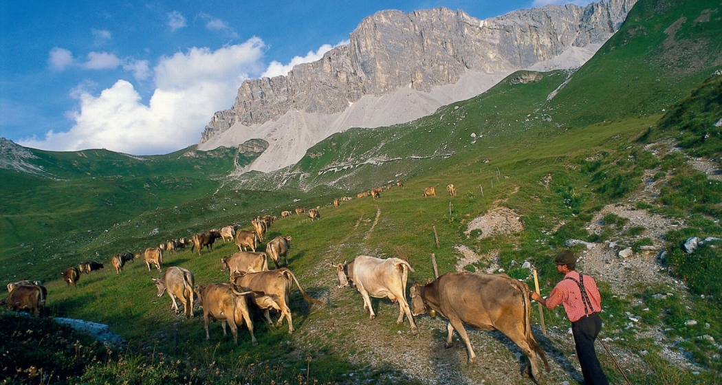 Prättigau im Sommer Prättigau im Sommer