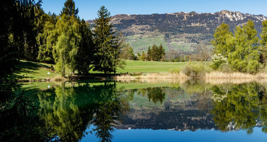 Canovasee Canovasee