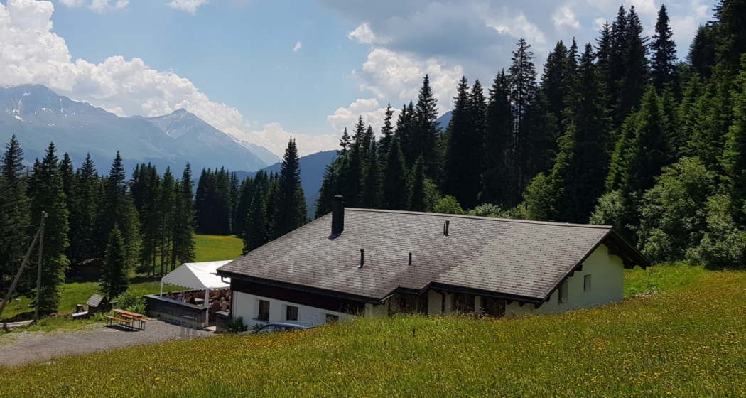 Edelweisshütte im Sommer Edelweisshütte im Sommer