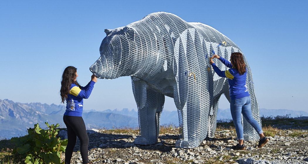 Weisshornbär Arosa Weisshornbär Arosa