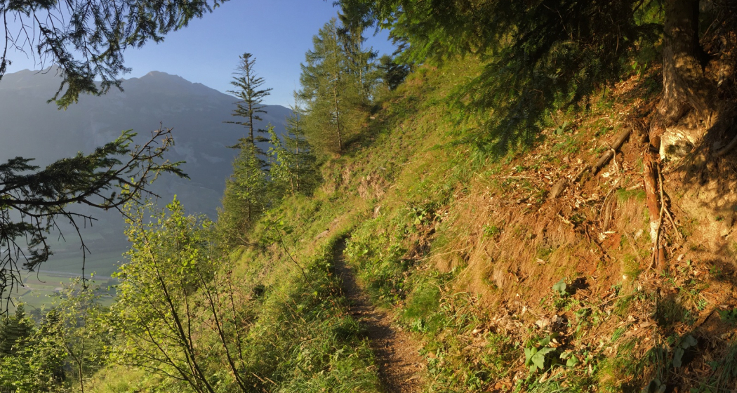 Wanderweg Sauerquelle Wanderweg Sauerquelle