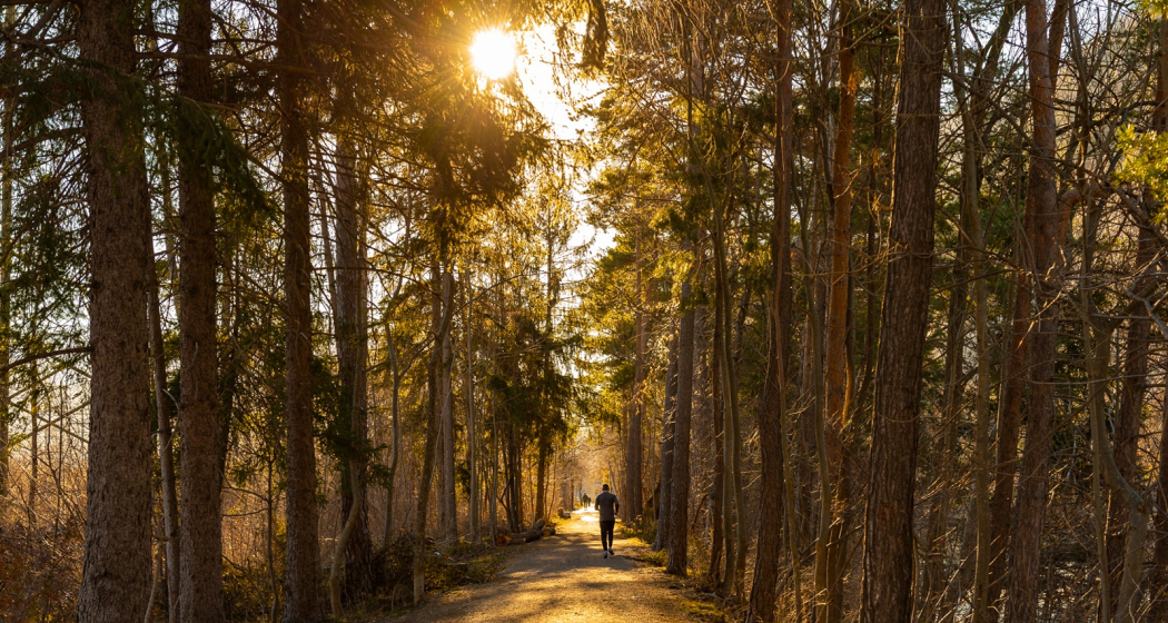 Am Rheinufer Am Rheinufer