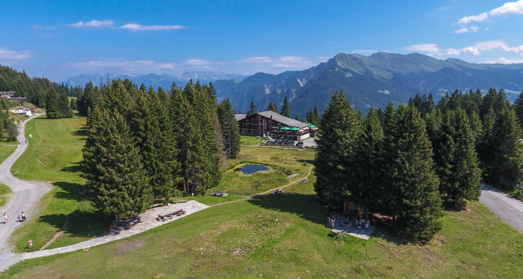 Malixerhof Brambrüesch im Sommer Malixerhof Brambrüesch im Sommer