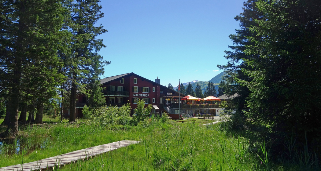 Malixerhof Brambrüesch im Sommer Malixerhof Brambrüesch im Sommer
