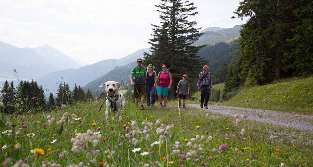 Edelweissrundweg bei Seznis Edelweissrundweg bei Seznis