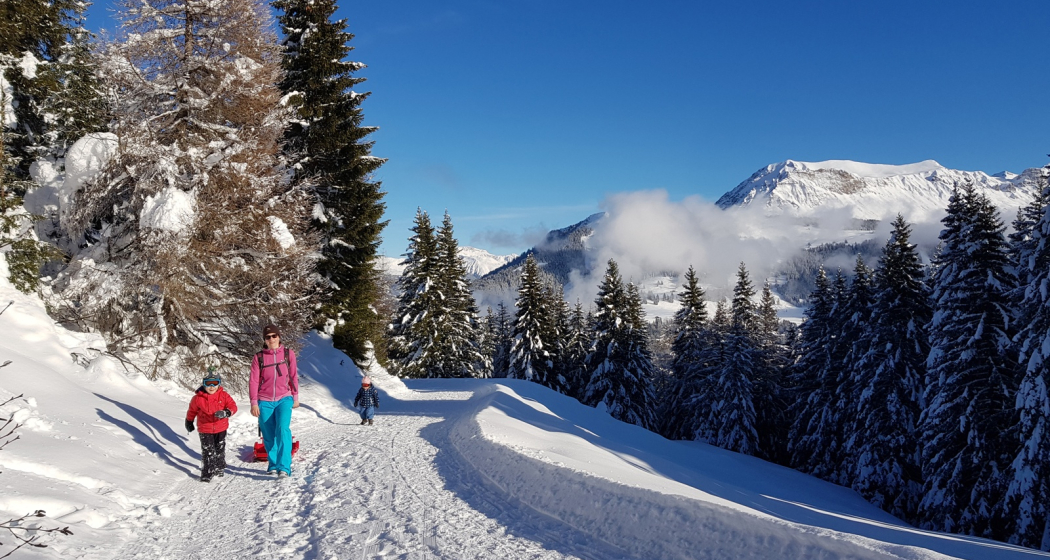 Edelweissrundweg Brambrüesch Edelweissrundweg Brambrüesch