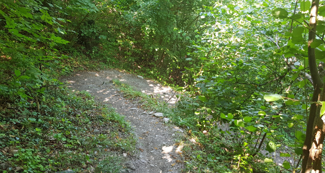 Zig Zag Trail - für Spitzkehren Liebhaber Zig Zag Trail - für Spitzkehren Liebhaber