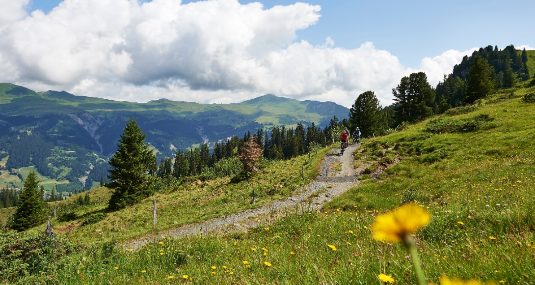 Arosa Lenzerheide Rundtour Arosa Lenzerheide Rundtour