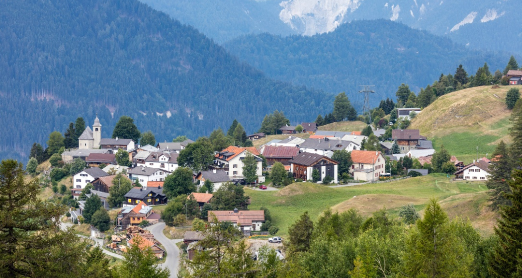 Feldis im Sommer Feldis im Sommer