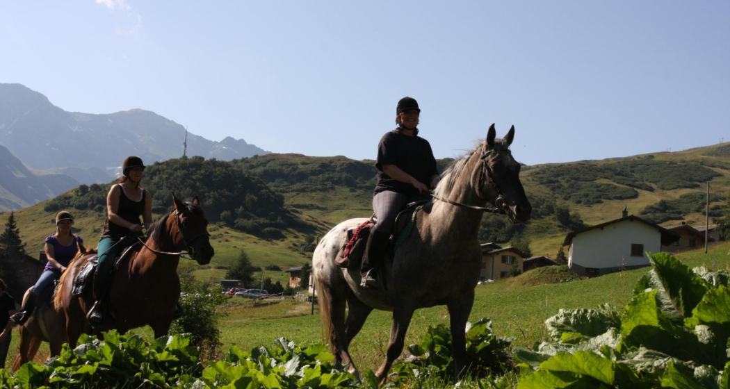 Reitschule & Reithalle St. Georg Reitschule & Reithalle St. Georg