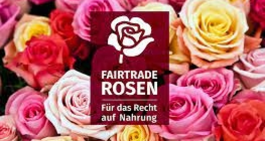 Konfirmationsprojekt Rosenverkauf (gdl_797625981_image)