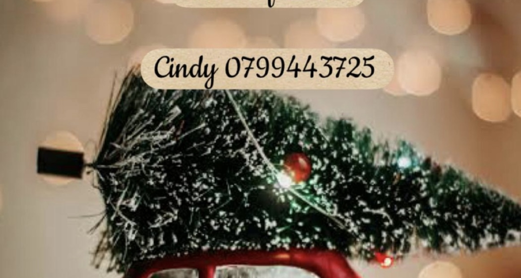 5. Adventsmarkt in Maladers (gdl_901087334_image)