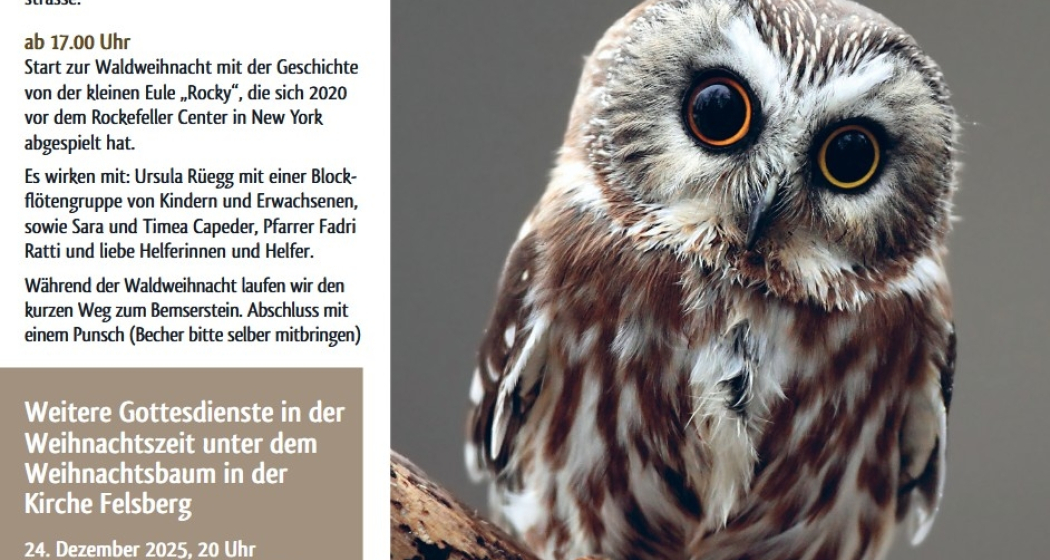 Waldweihnacht zu Heilig Abend (gdl_902338627_image)