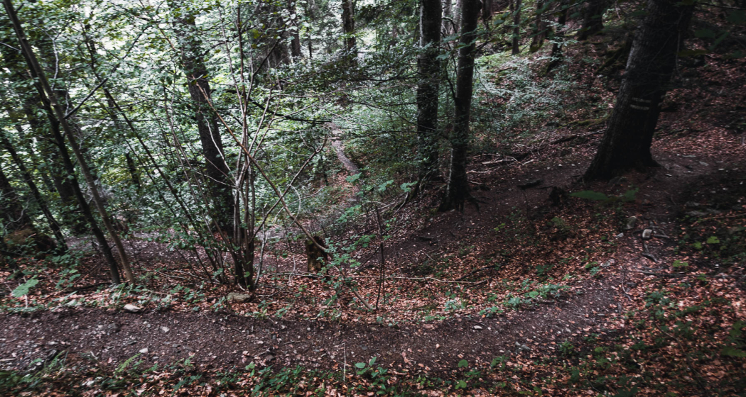 Kaltbrunntobel-Trail