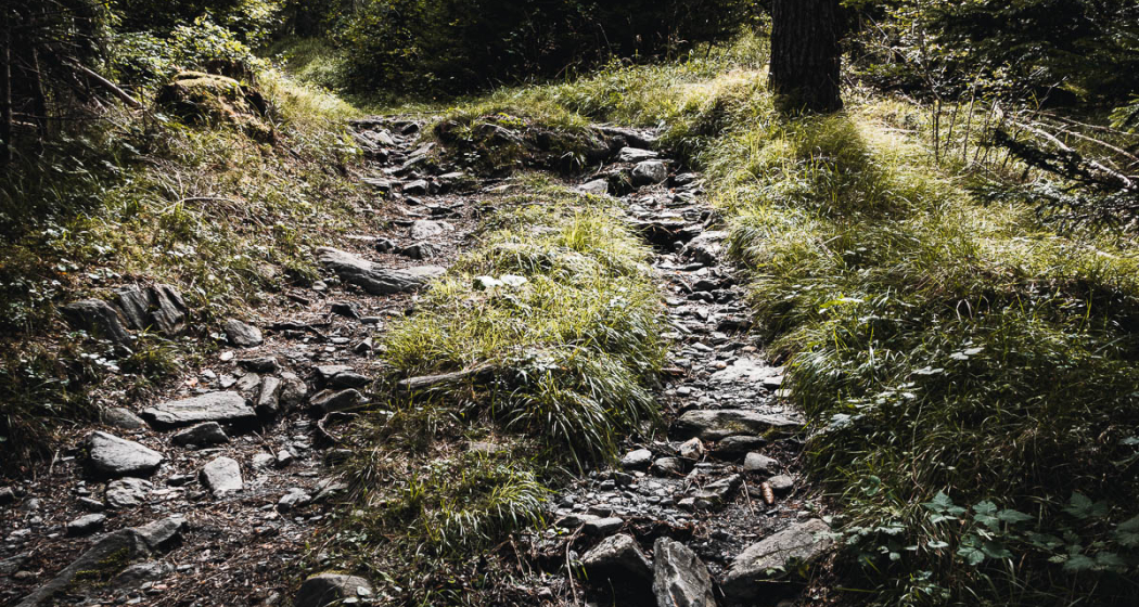 Trimmiser Rüfe Trail