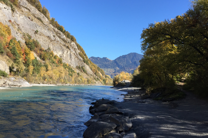 Unterhalb des Camp Au am Rhein-Ufer Unterhalb des Camp Au am Rhein-Ufer