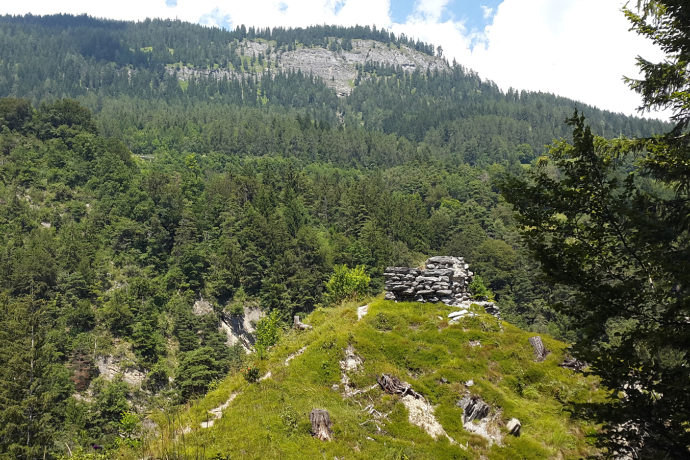 Ruin Wackenau Ruin Wackenau