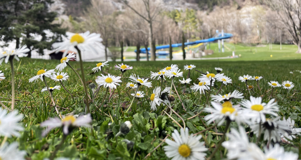 sportanlagen_fruehling_ks_3