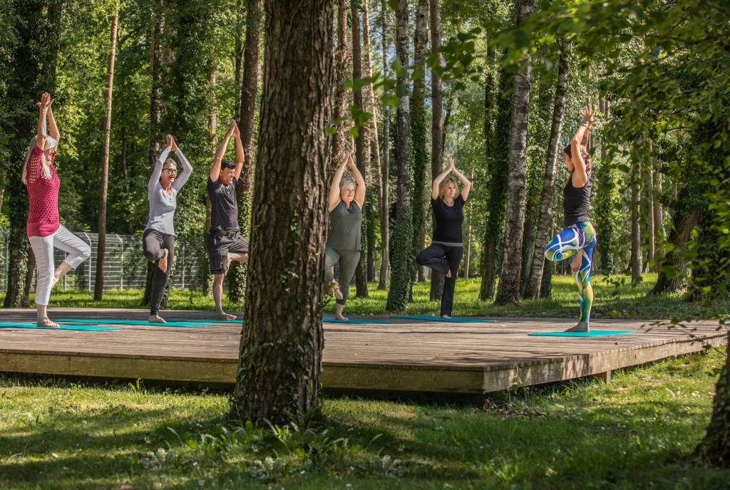 Yoga im Wald