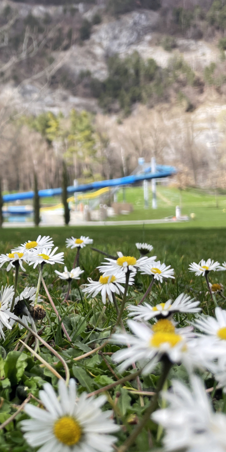 sportanlagen_fruehling_ks_3