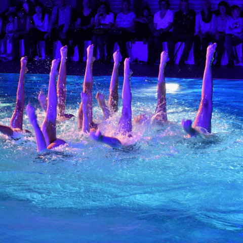 synchronschwimmen_scfloesbuchs