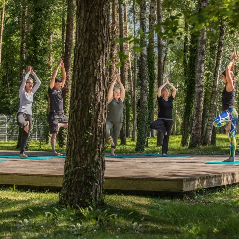 Yoga im Wald Yoga im Wald